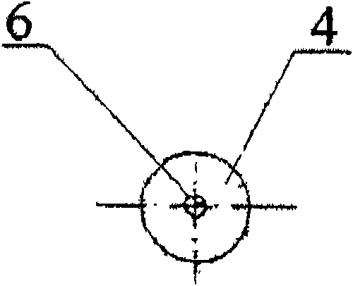 Rotary assembly and belt conveyor using the same