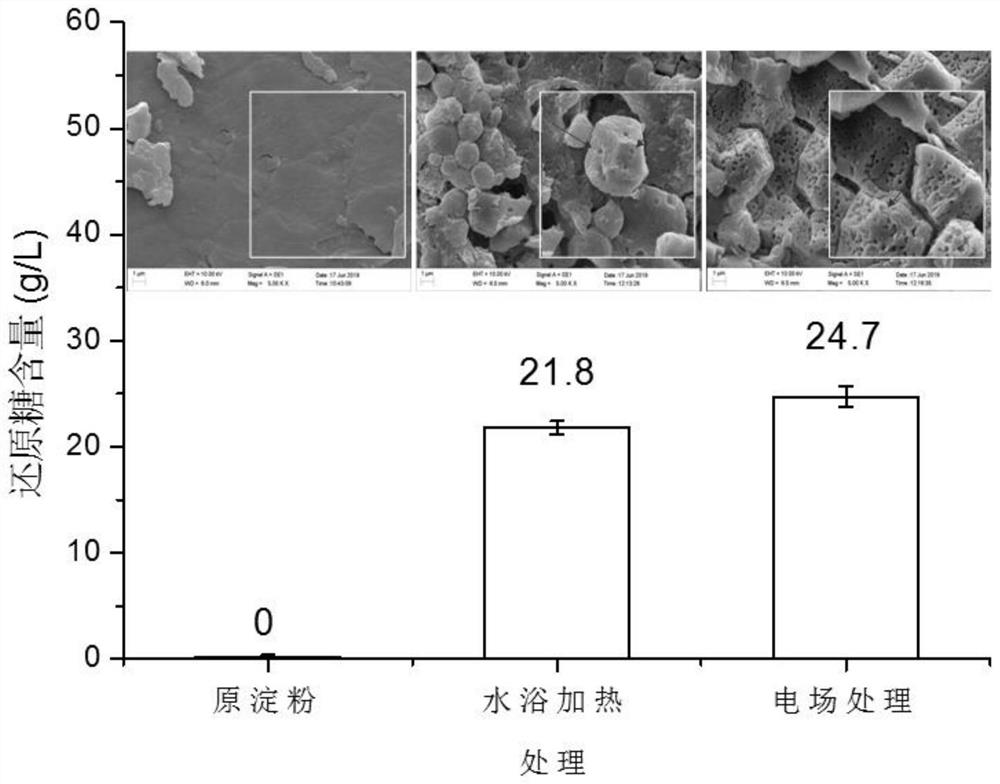 A method for preparing porous starch by using alternating electric field