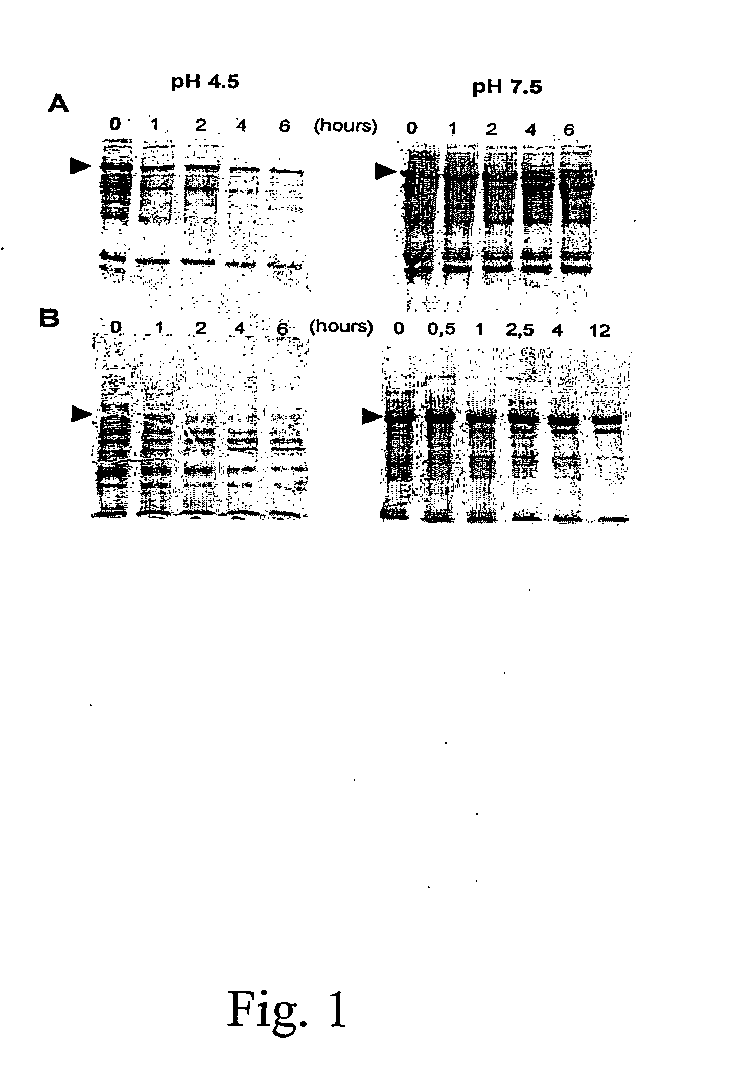 Method for enhancing the nutritive value of plant extract