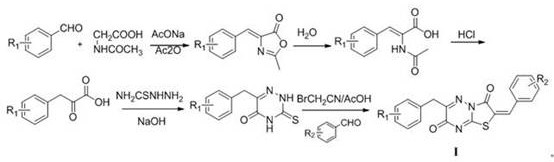 2H-thiazolo [3, 2-b]-1, 2, 4-triazine-3, 7-diketone derivative and application thereof