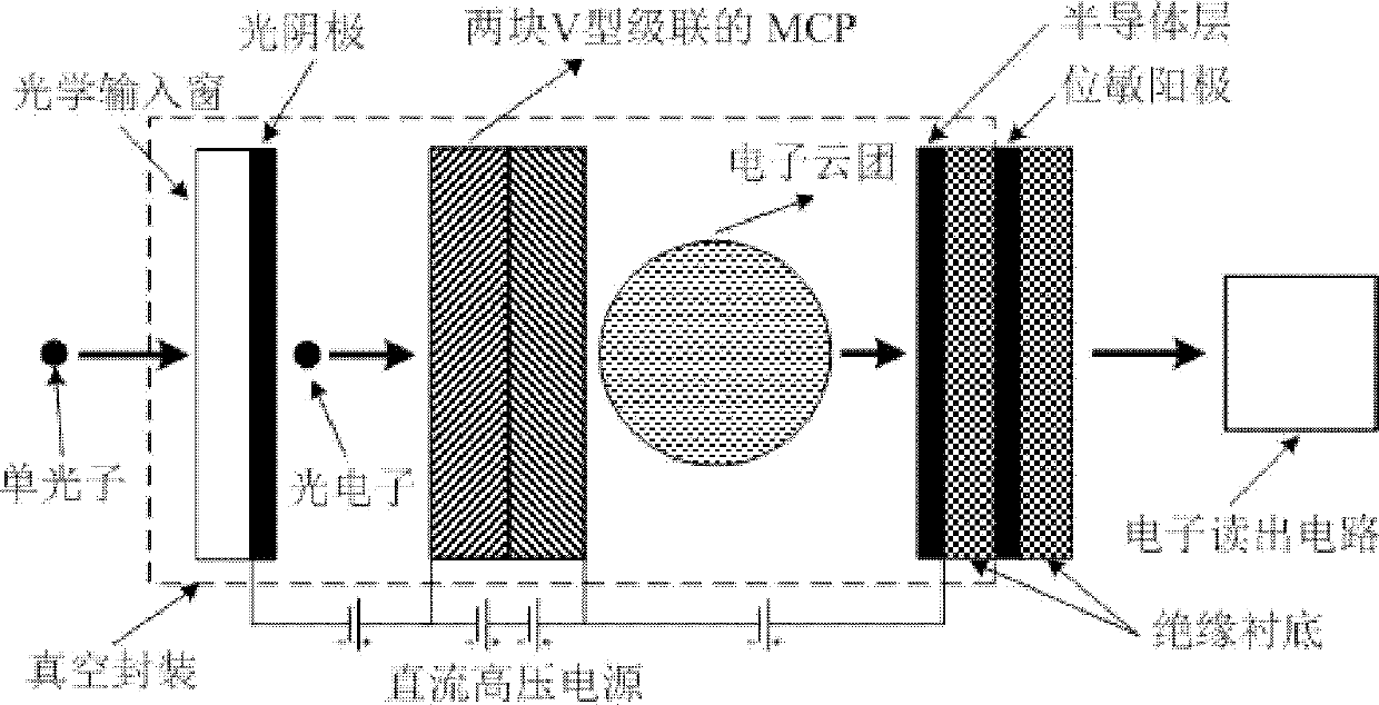 Photon counting Raman spectrometer capable of realizing full spectrum direct-reading performance