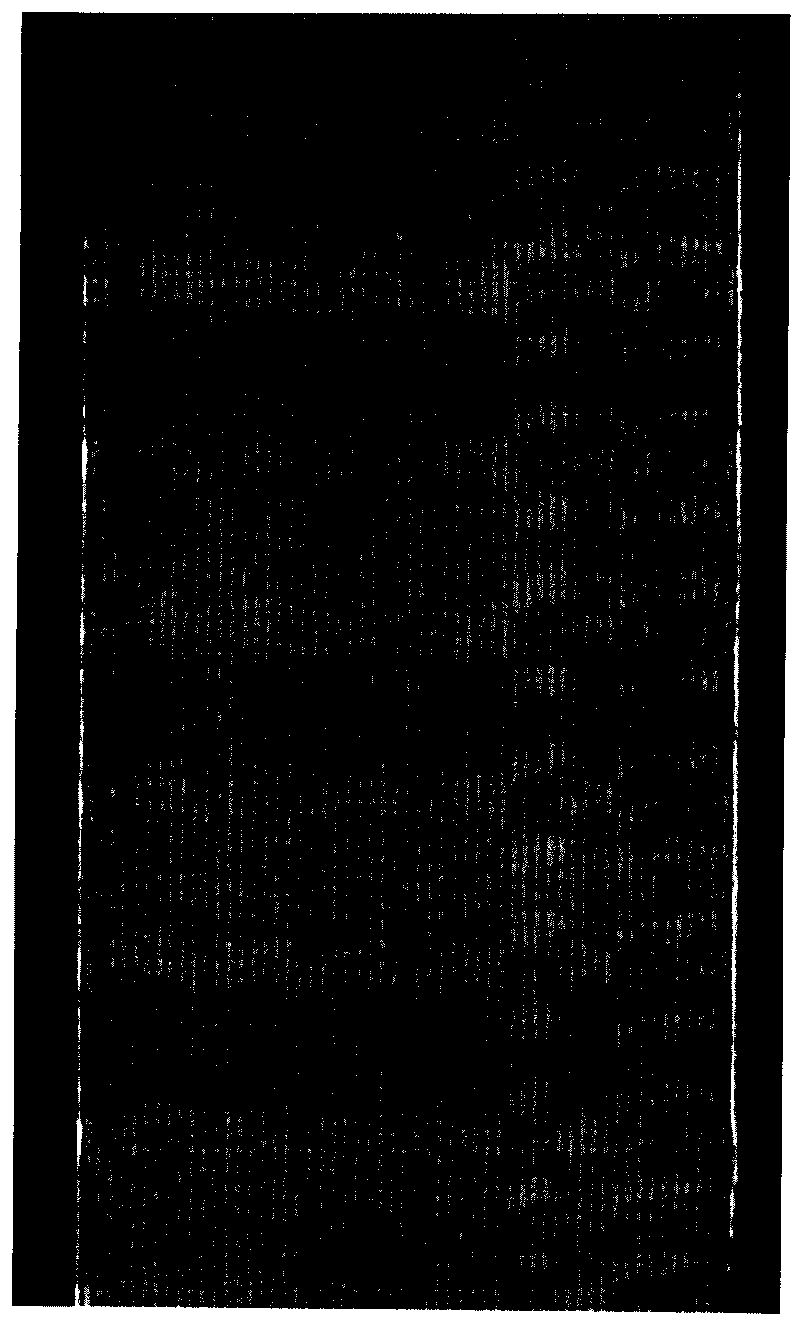 Method for detecting number based on side texture analysis of layered object