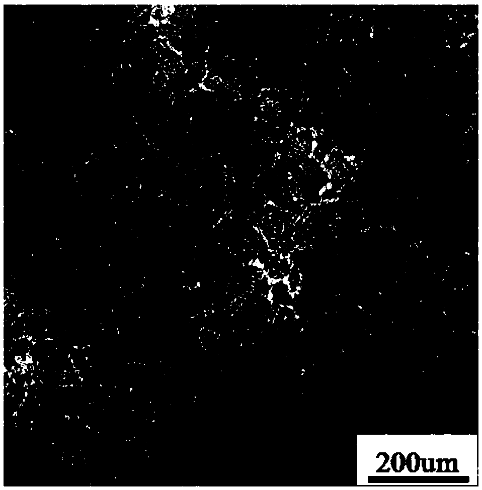 Metallographic sample preparation method of CrMo steel