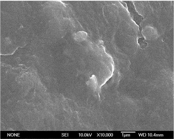 A kind of composite polymer flocculant and preparation method thereof