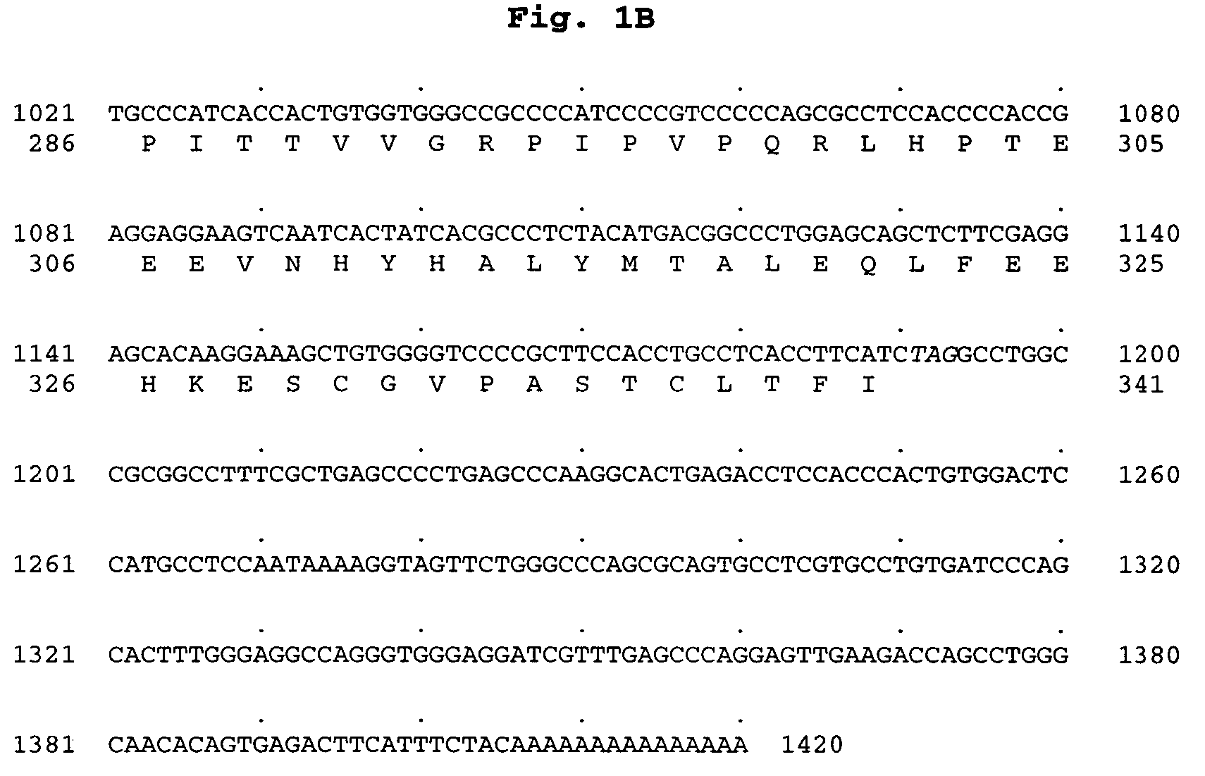 Polynucleotide encoding a novel acyl coenzyme A, monoacylglycerol acyltransferase-3 (MGAT3), and uses thereof