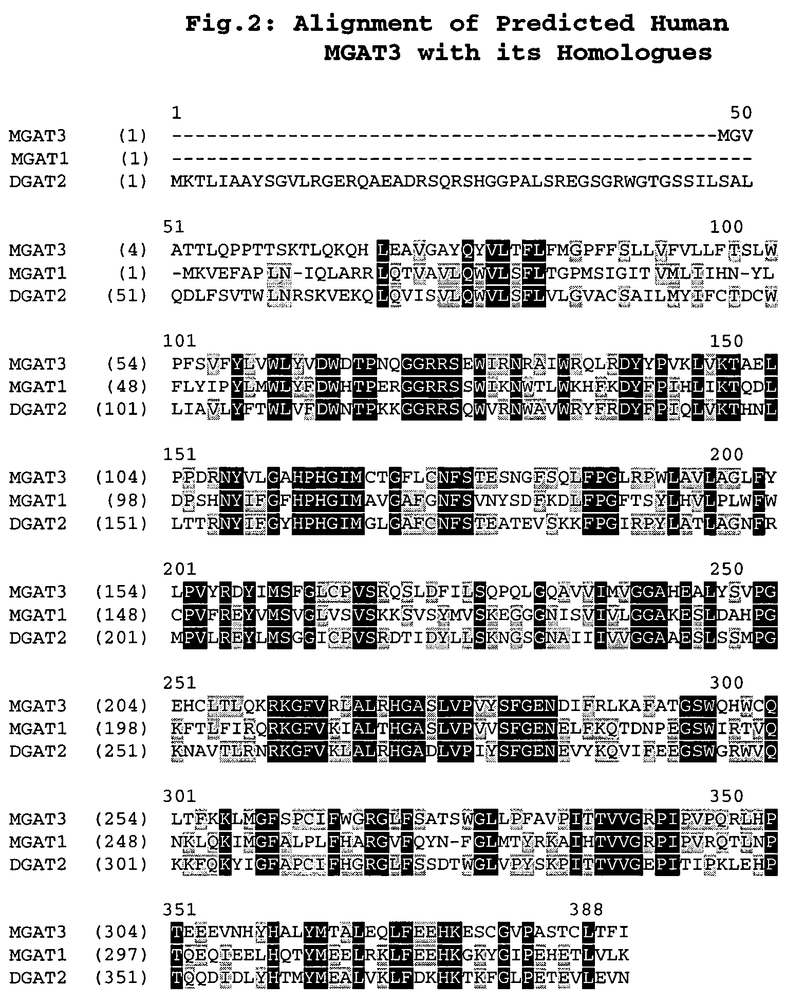 Polynucleotide encoding a novel acyl coenzyme A, monoacylglycerol acyltransferase-3 (MGAT3), and uses thereof