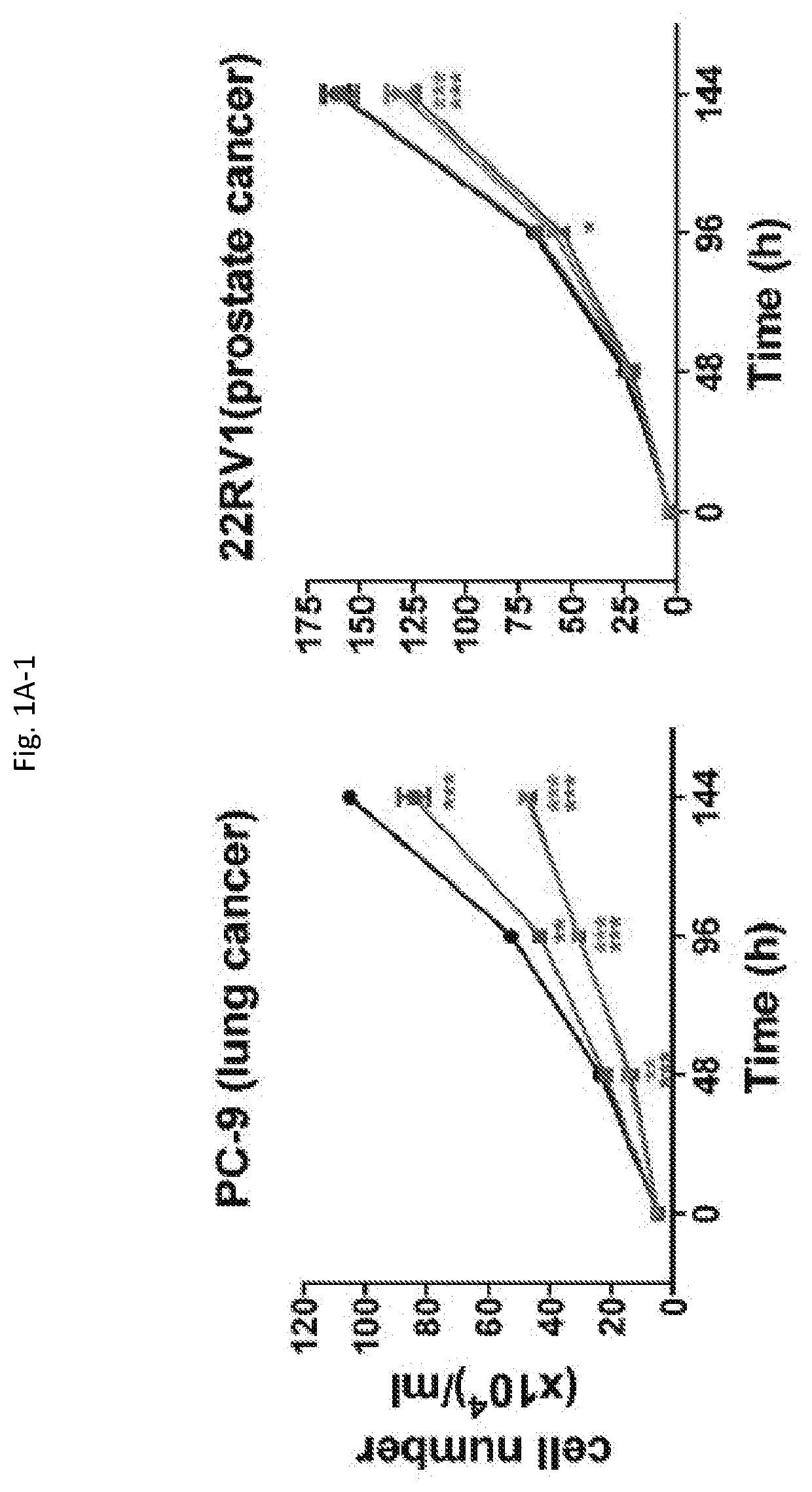 Methods for treating, preventing and detecting the prognosis of colorectal cancer