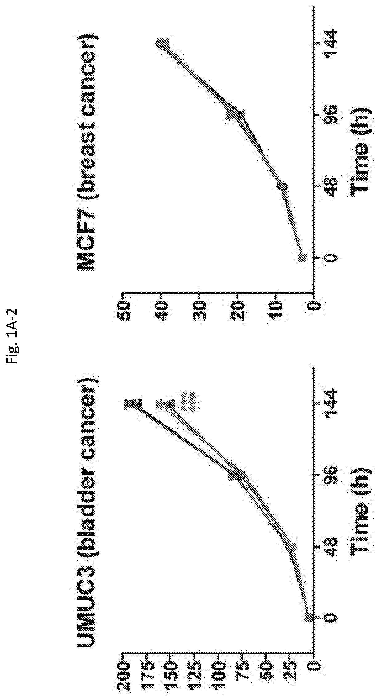 Methods for treating, preventing and detecting the prognosis of colorectal cancer