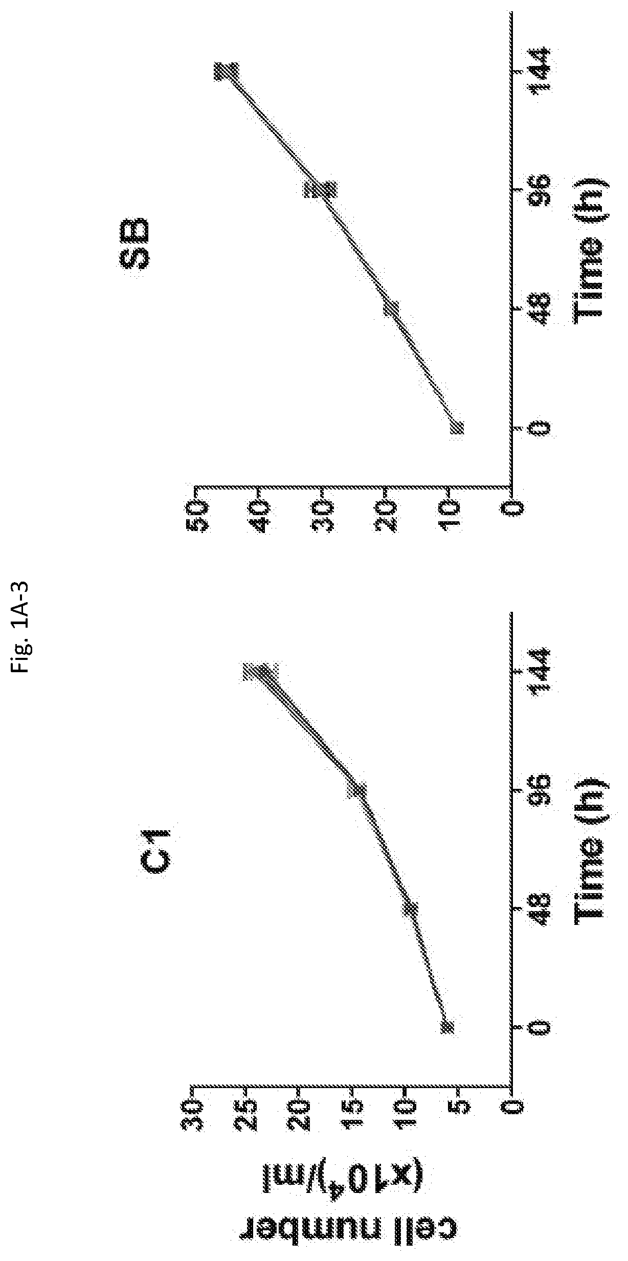 Methods for treating, preventing and detecting the prognosis of colorectal cancer