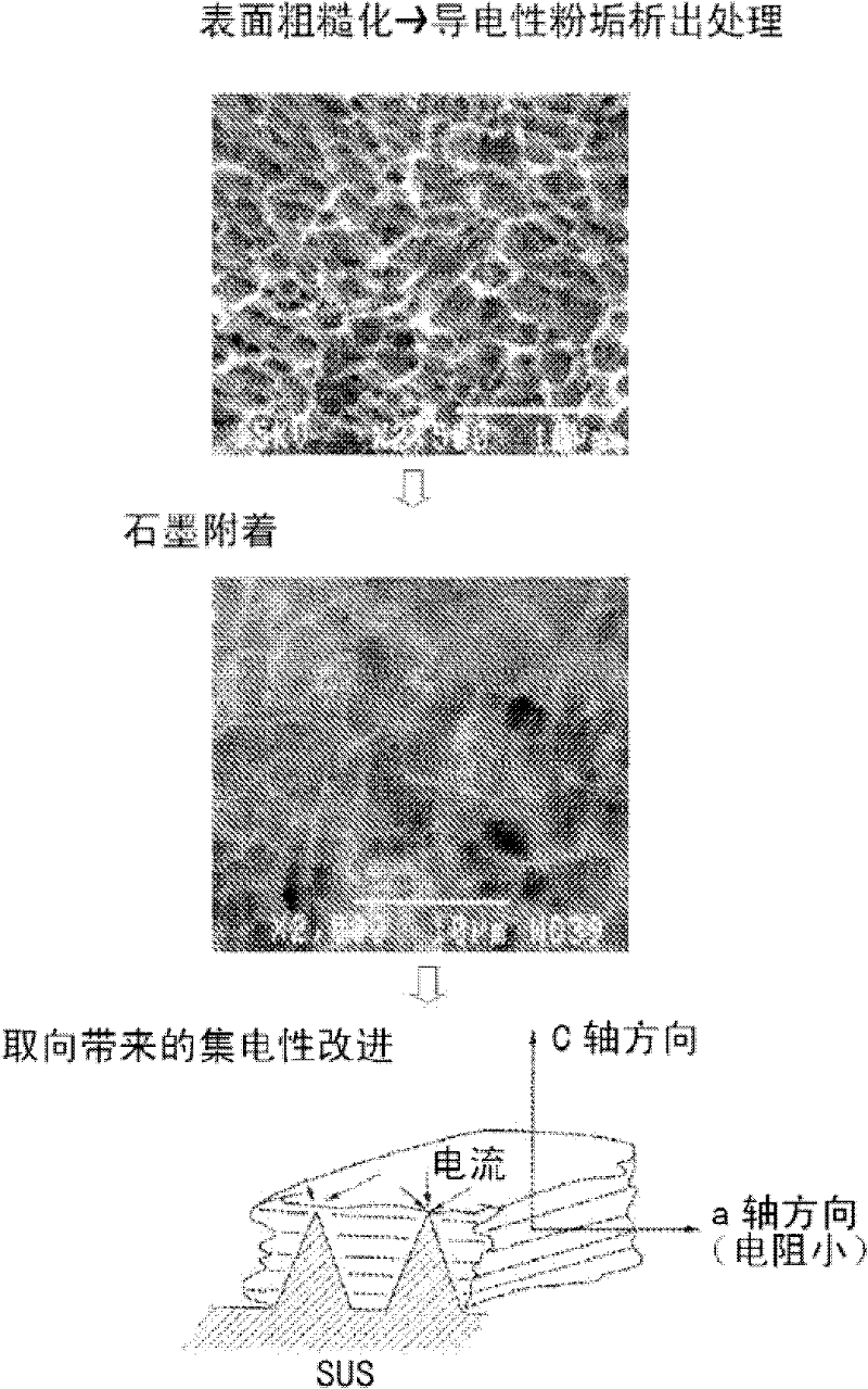 Sheet stainless steel for separators in solid polymer fuel cells, and solid polymer fuel cells using the same