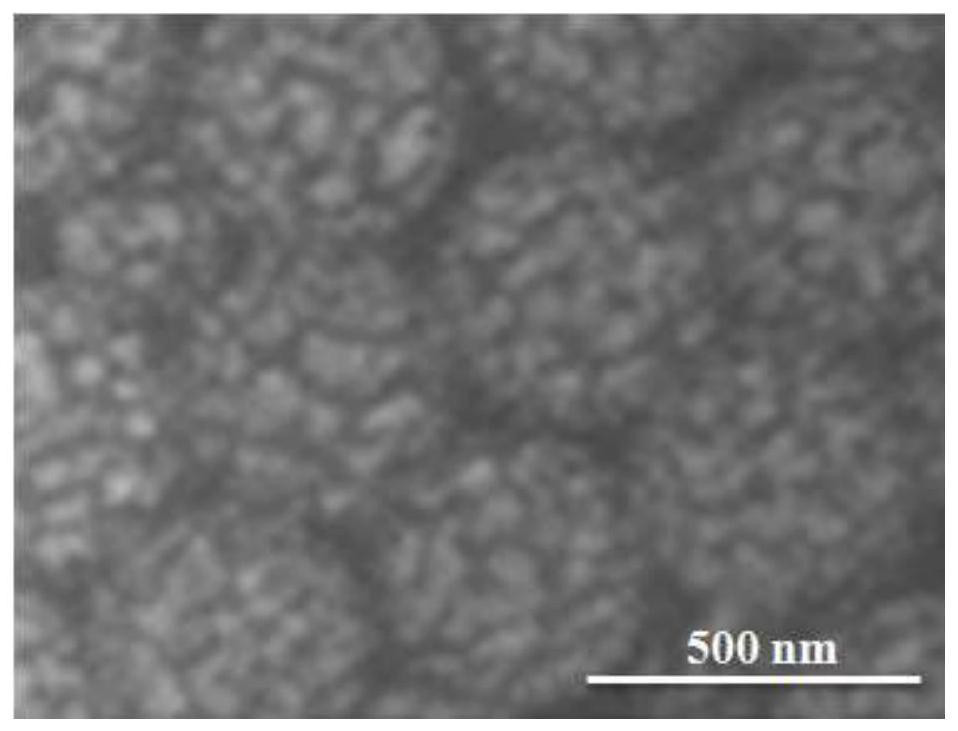 A manufacturing method of an economical high-precision surface-enhanced Raman active substrate