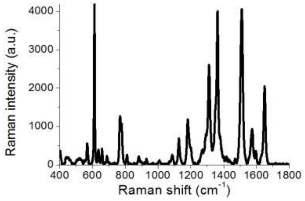 A manufacturing method of an economical high-precision surface-enhanced Raman active substrate