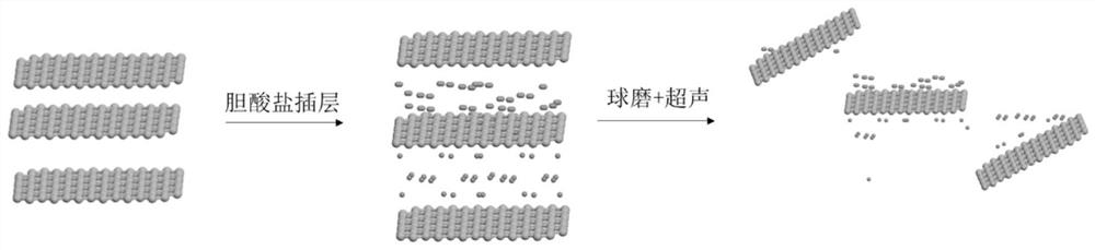 Hexagonal nano boron nitride preparation method based on cholate intercalation and ball-milling stripping