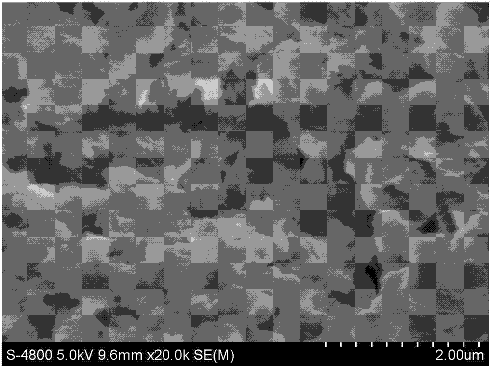 Preparation method and application of imidaclothiz MIP (molecularly imprinted polymer) microspheres