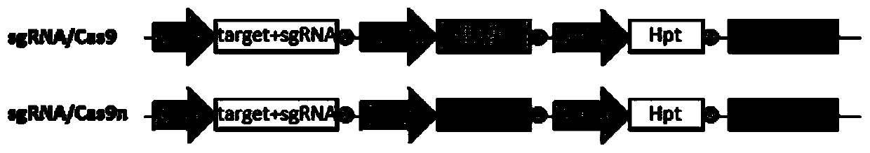 Method for improving plant gene replacing efficiency