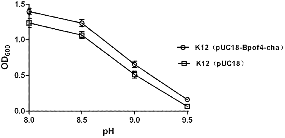 K&lt;+&gt;/H&lt;+&gt;antiporter protein, its coding gene, and applications of protein and coding gene