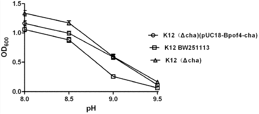 K&lt;+&gt;/H&lt;+&gt;antiporter protein, its coding gene, and applications of protein and coding gene