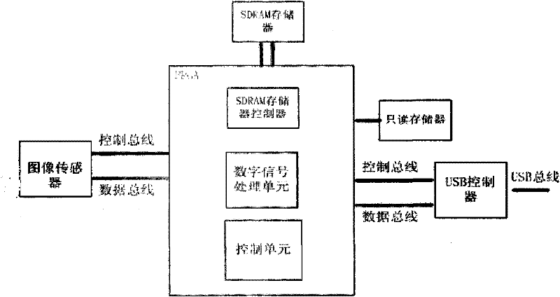 Real-time video image coordinate recognition system and method