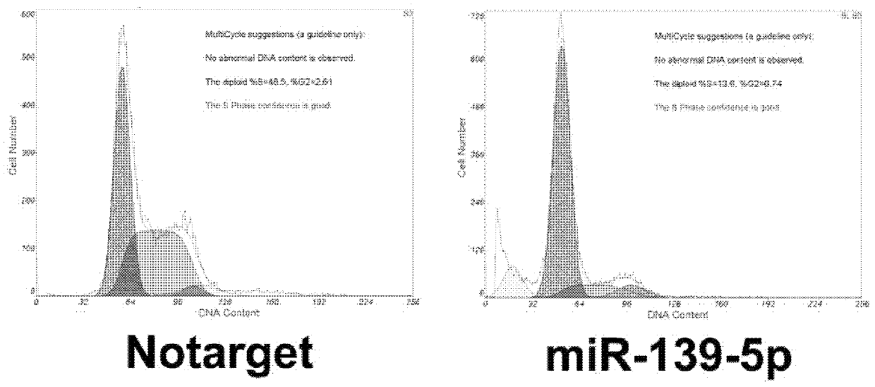miRNA molecule and application thereof