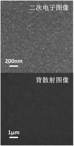 High-performance PEDOT-tellurium nanoparticle composite film and preparation method thereof
