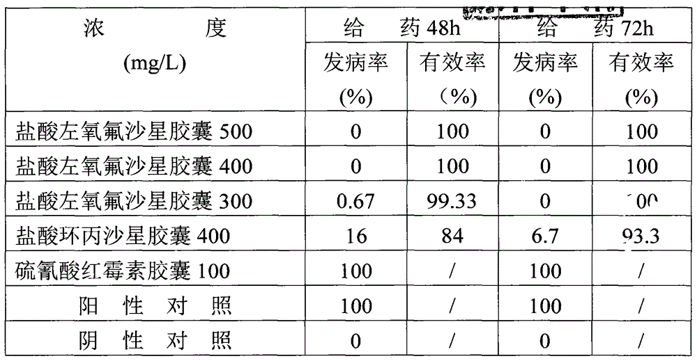 Application of hydrochloric acid levofloxacin to preparation of medicine for preventing and treating silkworm bacterial septicemia