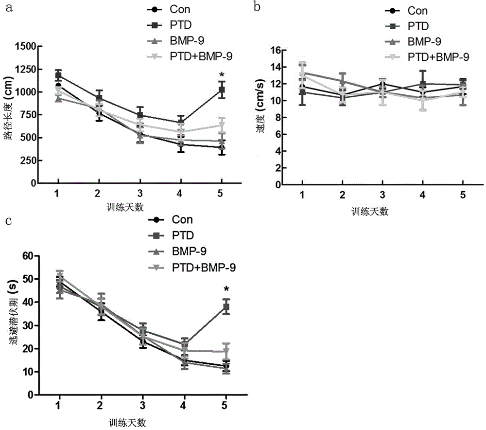 Application of bone morphogenetic protein-9 in preparing pharmaceutical composition for treating and/or preventing cholinergic system degeneration related diseases