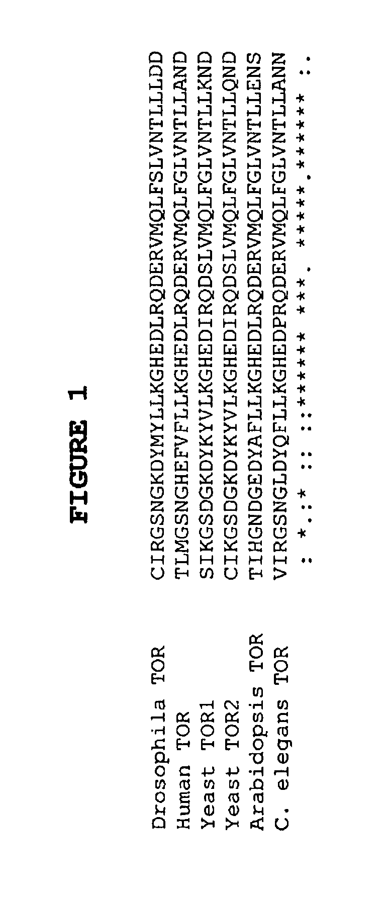 Compositions and methods for treatment of insulin-resistance diseases