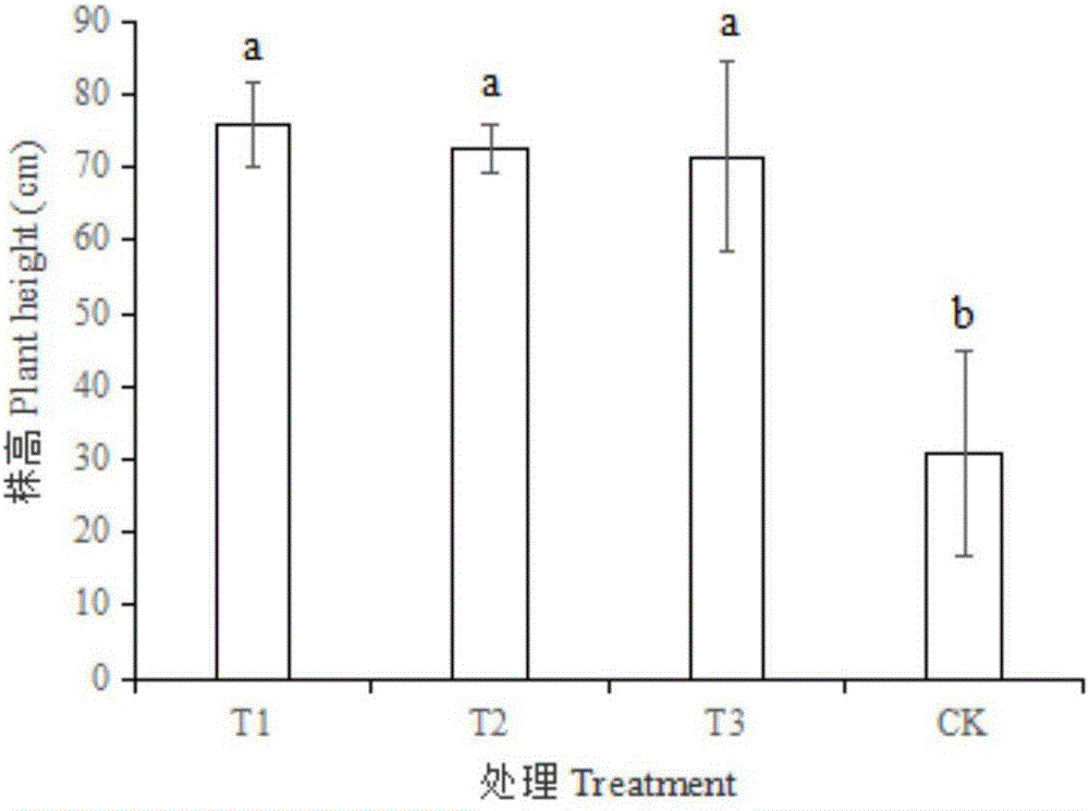 Method for testing growth of cucumbers by LED (light-emitting diode) continuous light and intermittent light with different frequencies