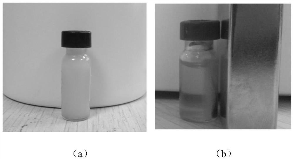 A highly dispersed magnetic nano photocatalyst and its preparation method