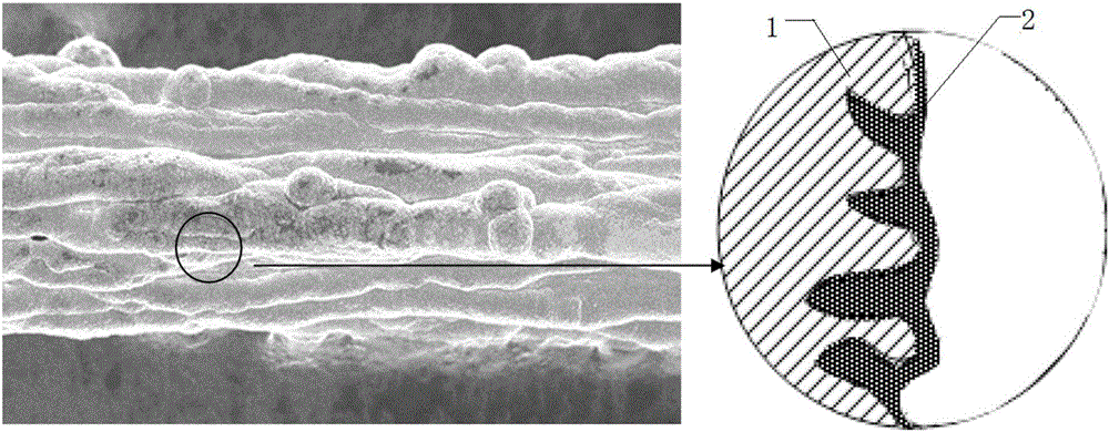 Graphene-magnesium composite fiber and preparation method thereof