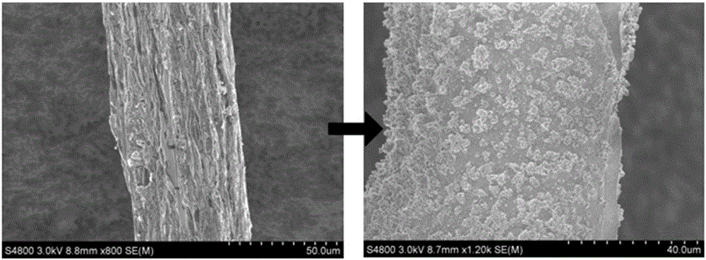 Graphene-magnesium composite fiber and preparation method thereof