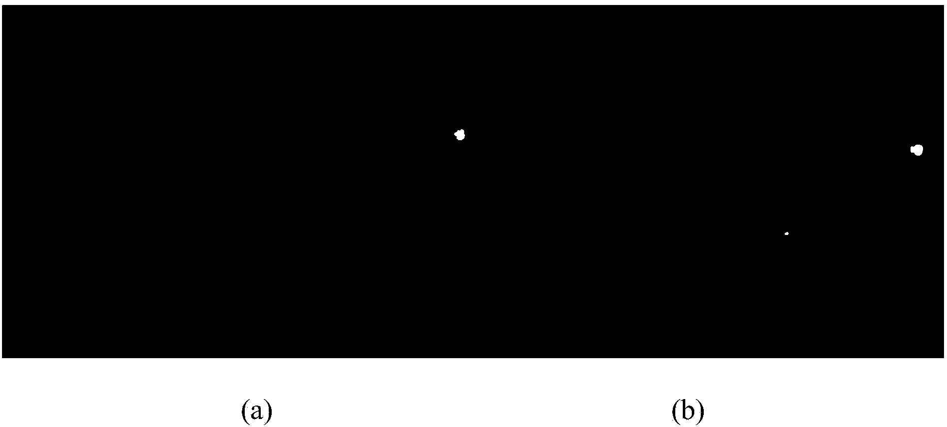 Video image stabilization method based on color constant and geometry invariant features