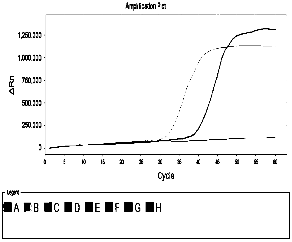 RT-LAMP (reverse transcription loop-mediated isothermal amplification) detection primers for specifically detecting SIV (swine influenza virus), application of primers, detection reagent and method