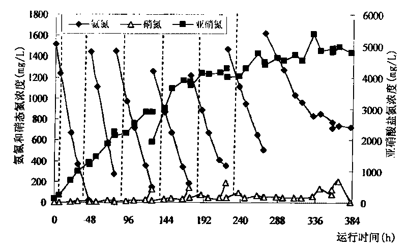 Ammonia-contained waste water high-efficiency biochemical processing method