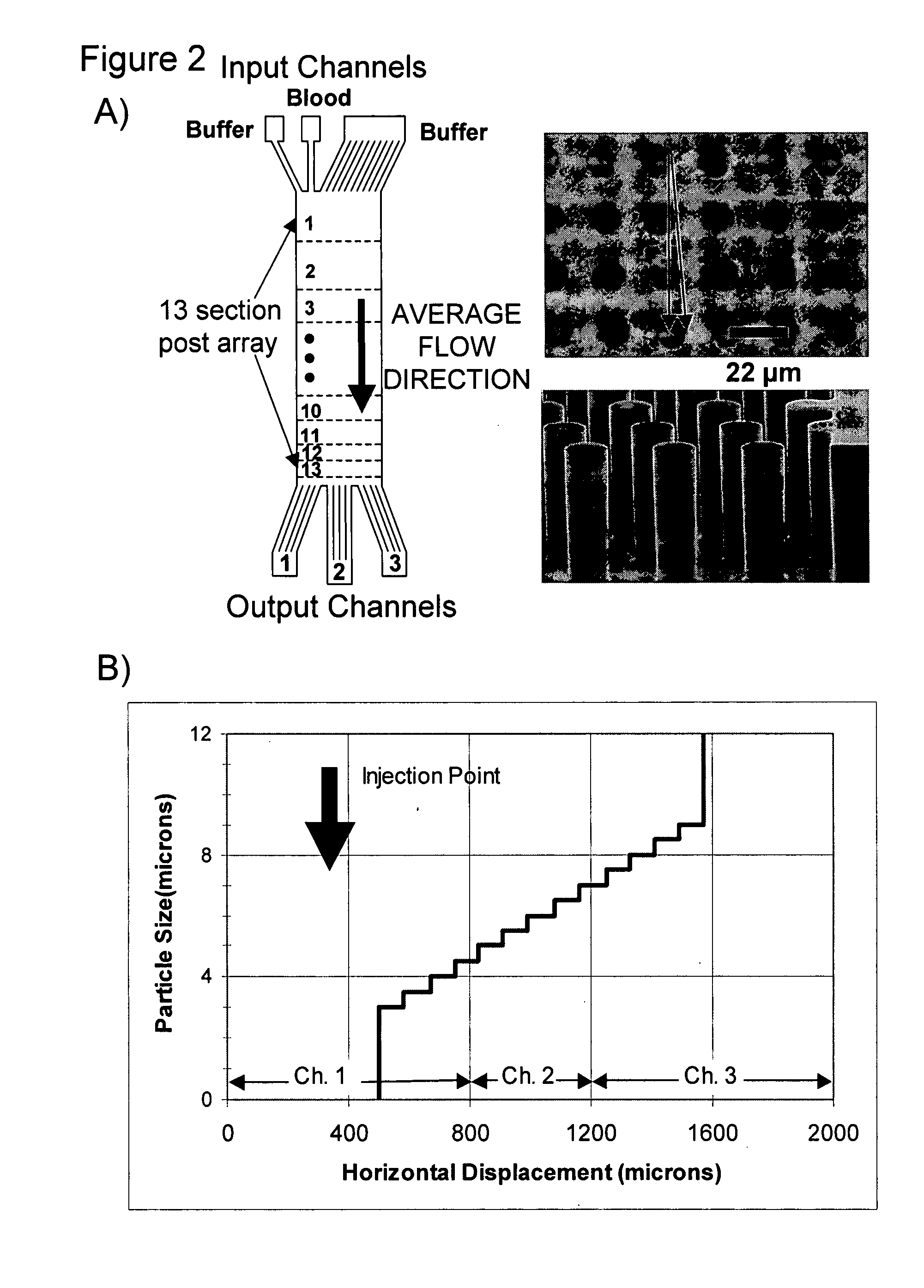 Apparatus and method for continuous particle separation
