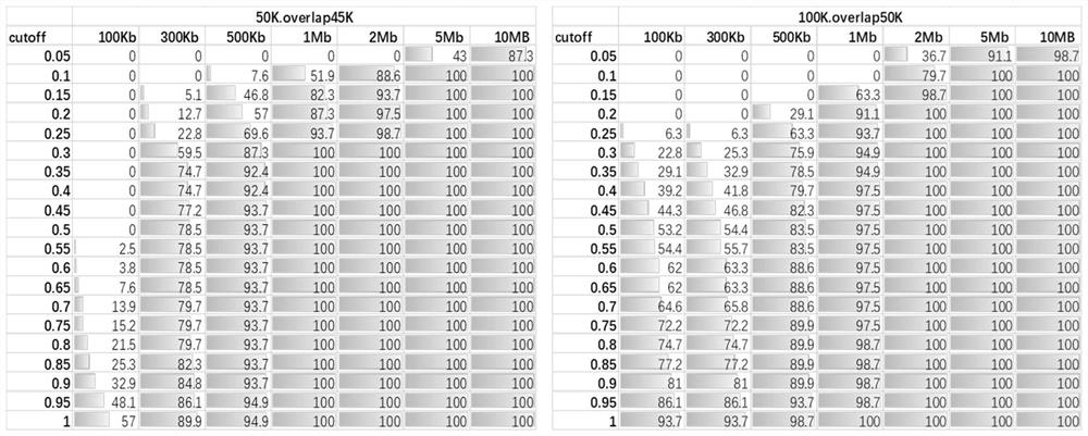 Chromosome copy number variation detection device based on low-depth high-throughput genome sequencing