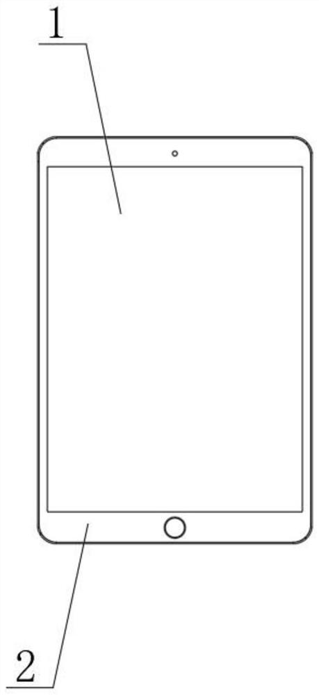 Retina color and contrast perception detection apparatus