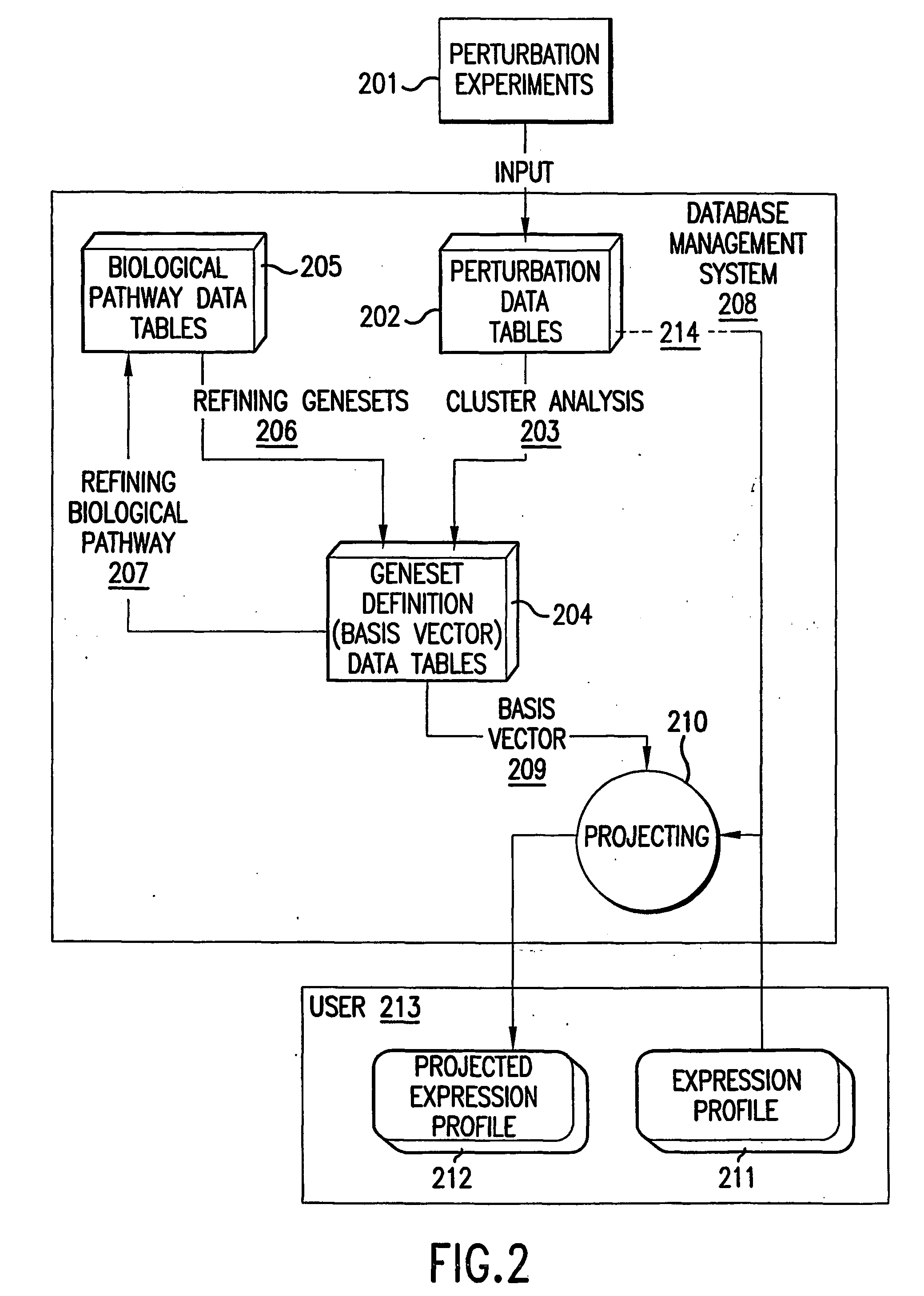 Methods and compositions for determining gene function