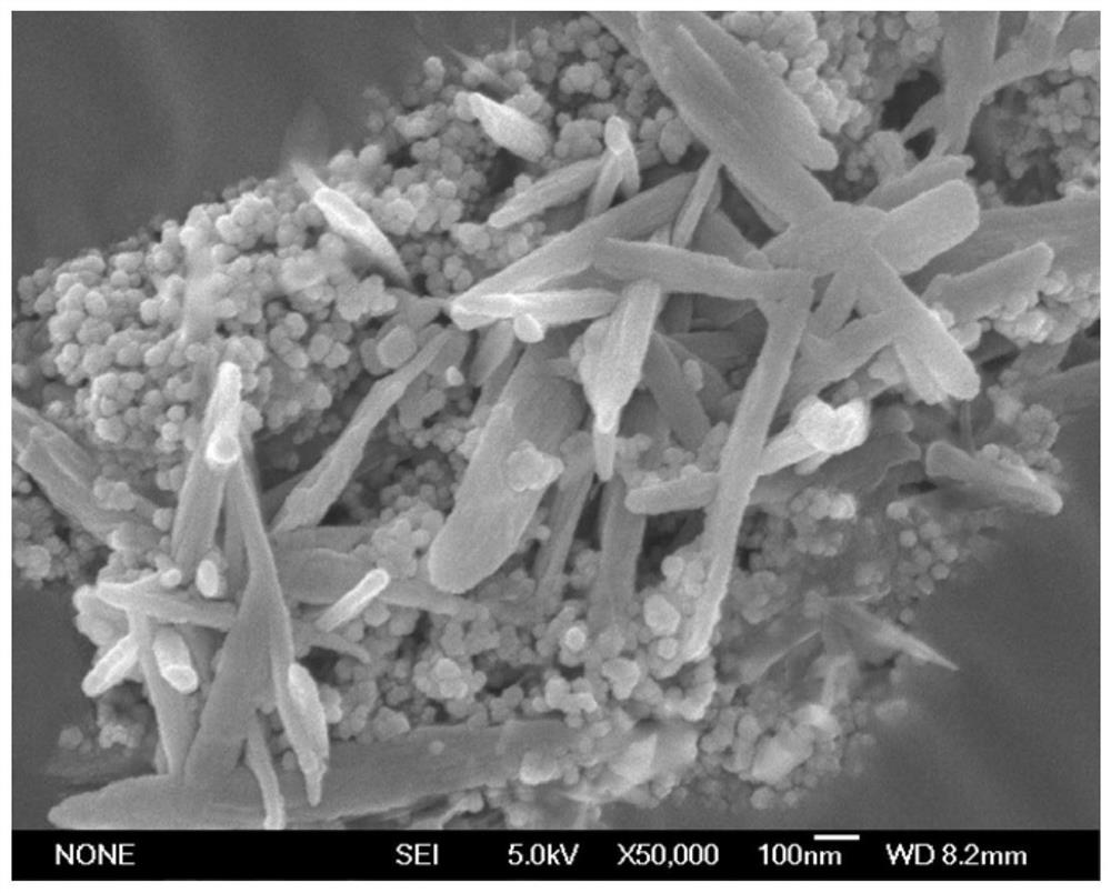 a kind of ni/nio/ni  <sub>3</sub> the s  <sub>2</sub> Catalyst and its preparation method and application