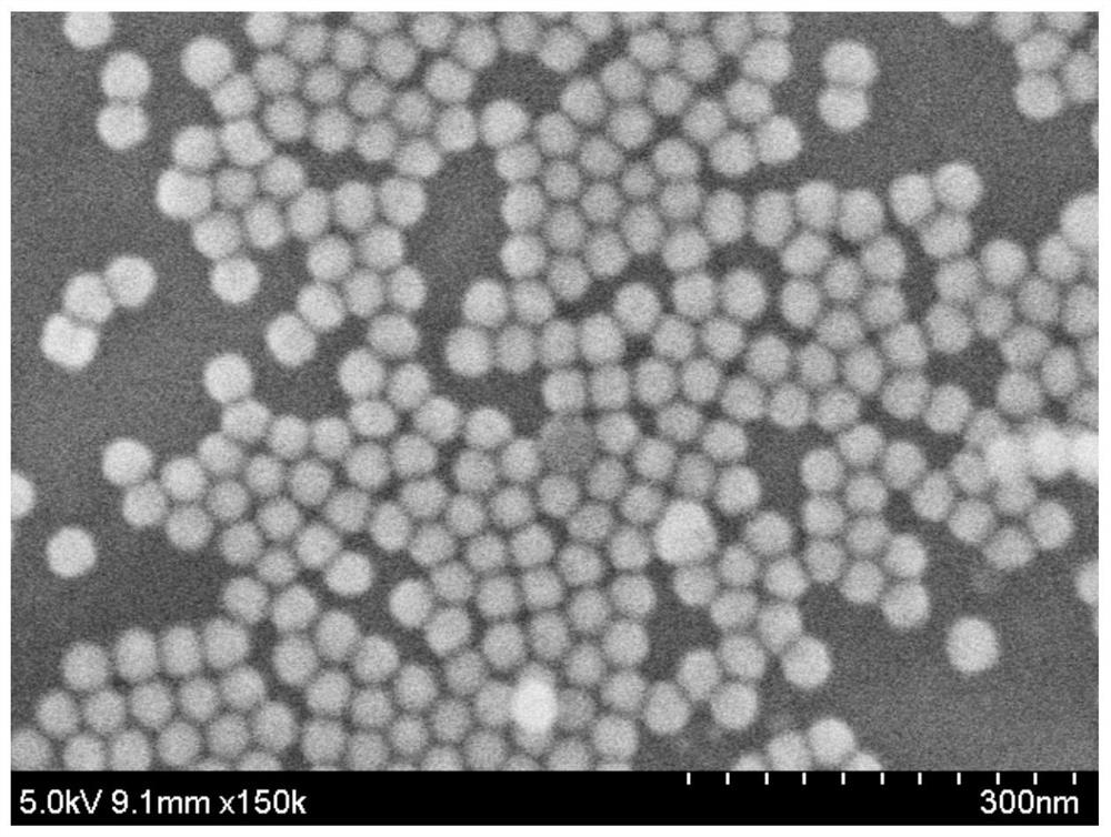 Carcino-embryonic antigen detection method