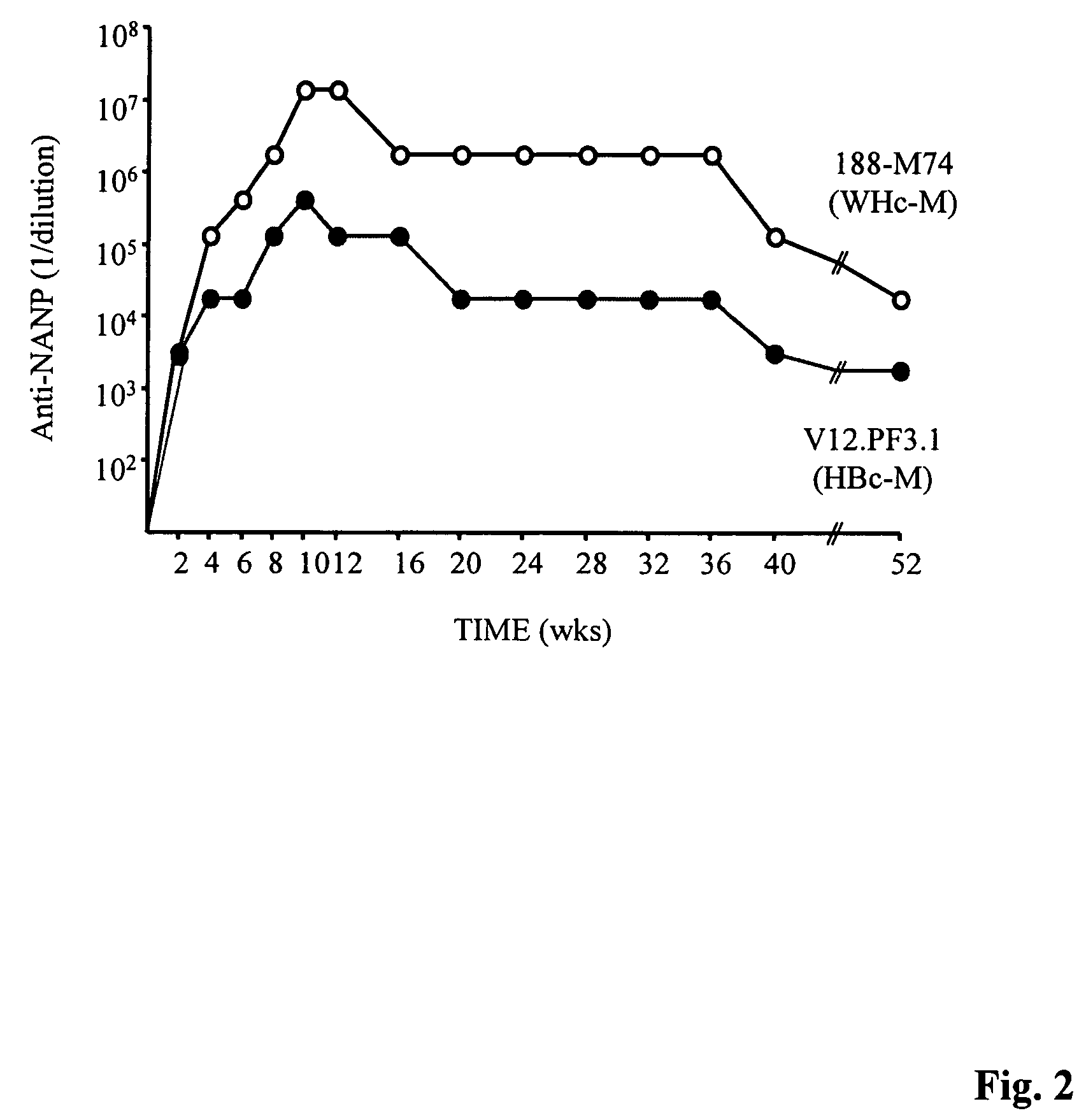 Human hepatitis B virus core proteins as vaccine platforms and methods of use thereof