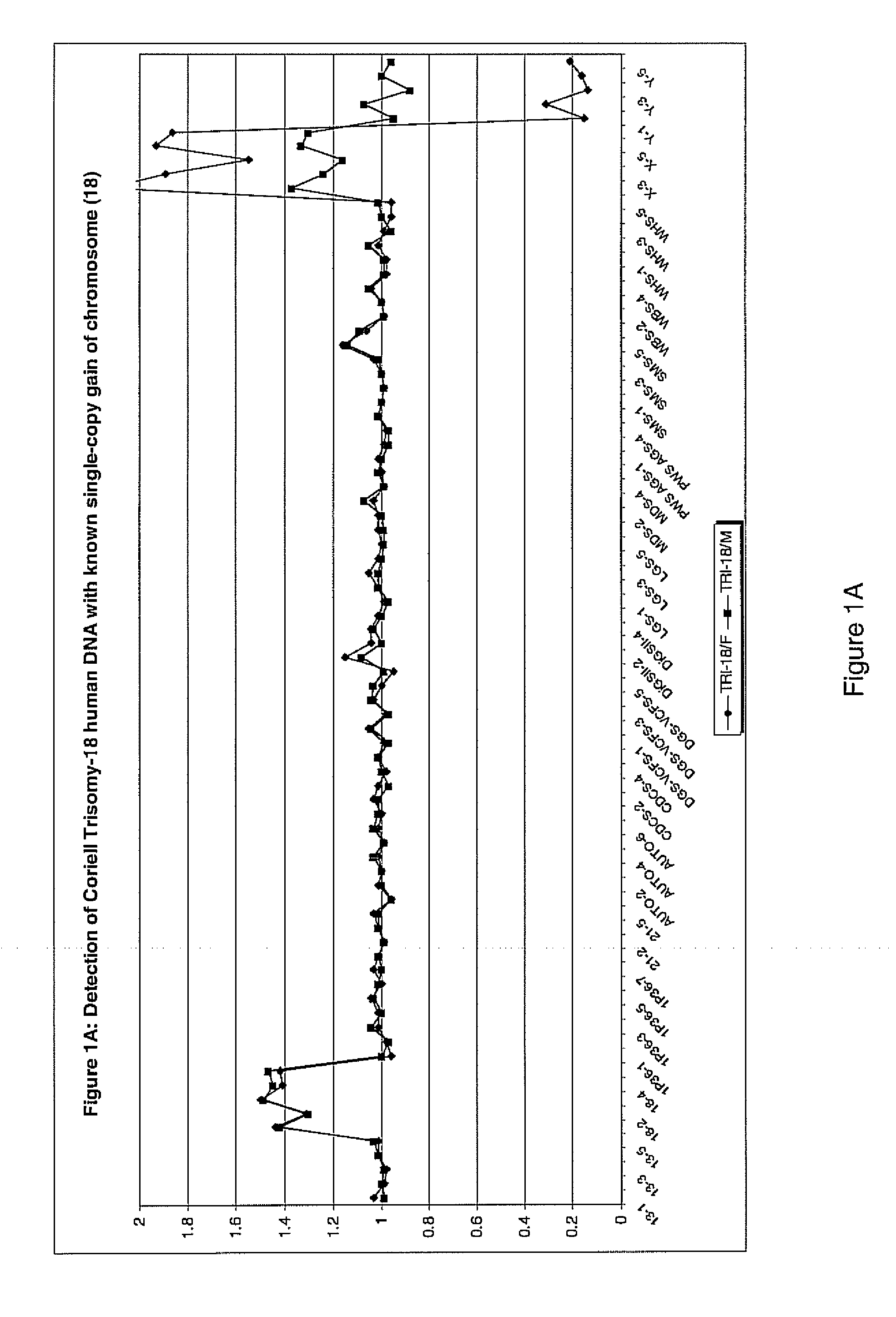 Genomic DNA labeling and amplification