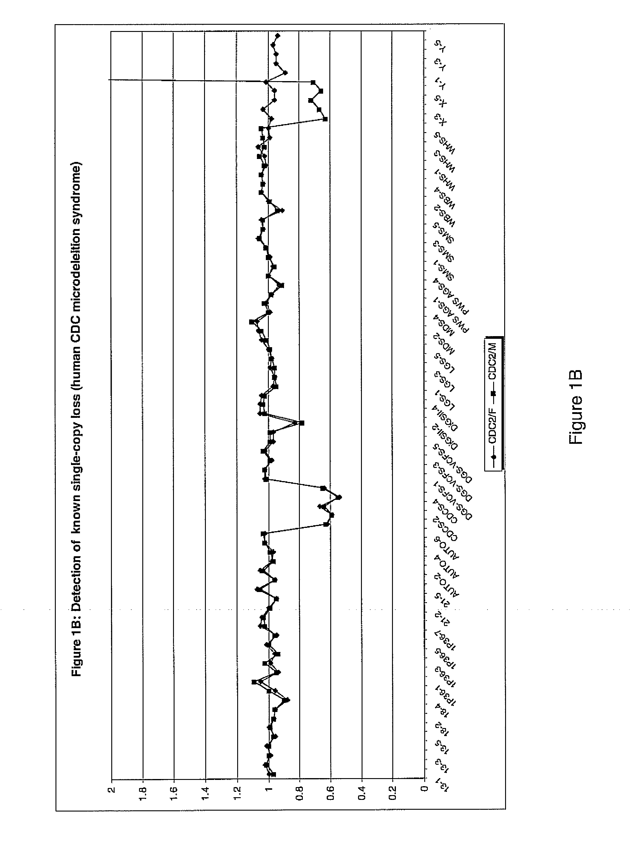 Genomic DNA labeling and amplification