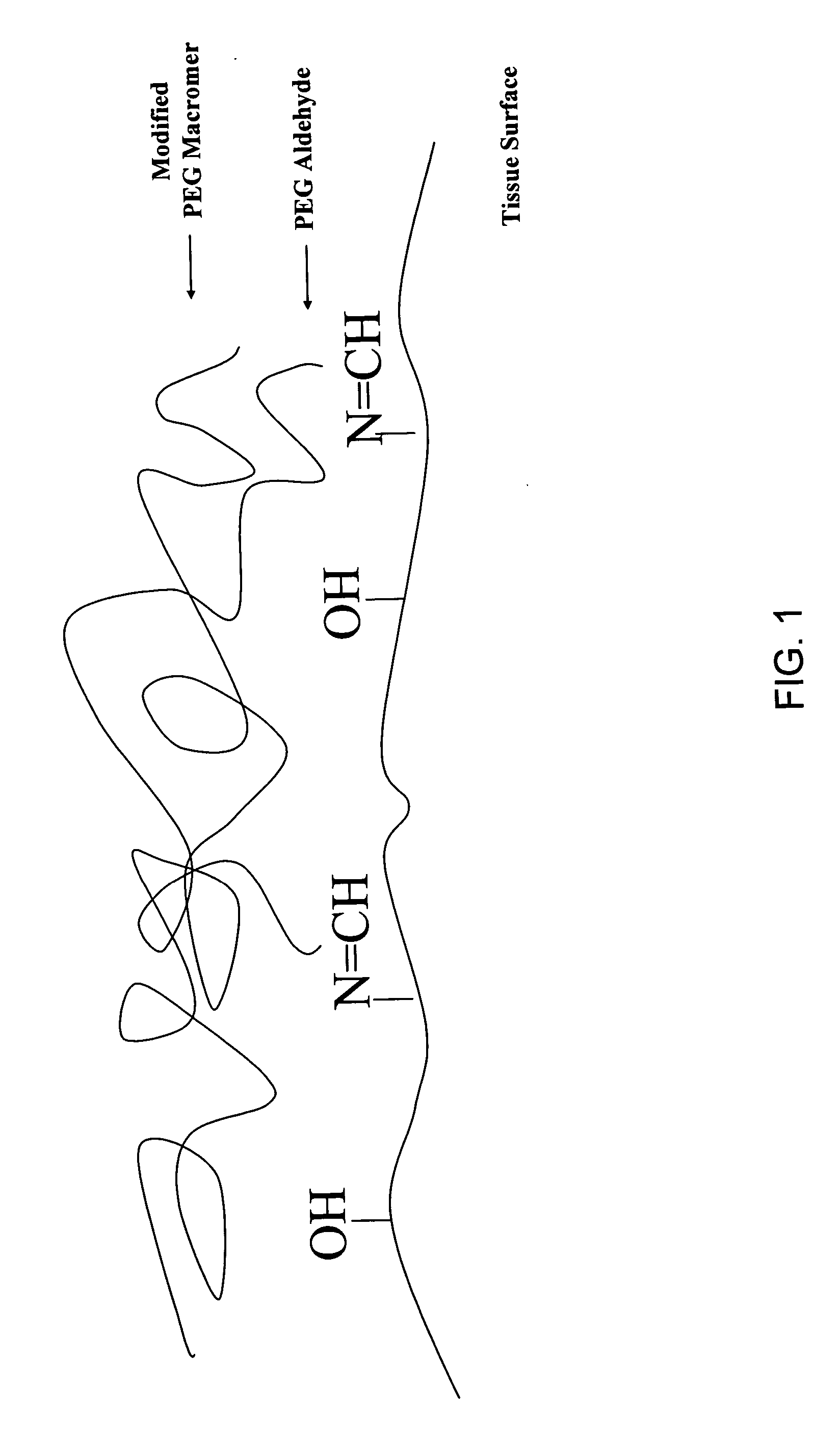 Adherent polymeric compositions