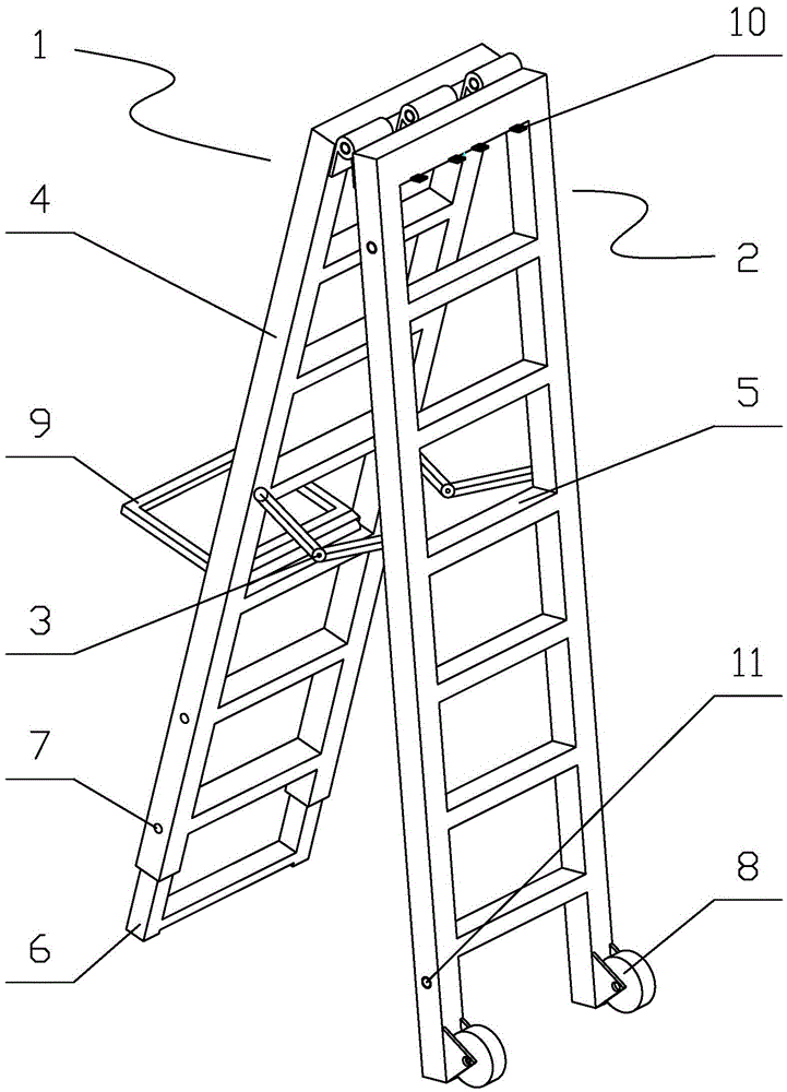 Multifunctional herring ladder