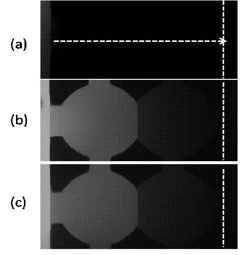Micro-fluidic chip capable of producing stable concentration gradient and cell co-culture method