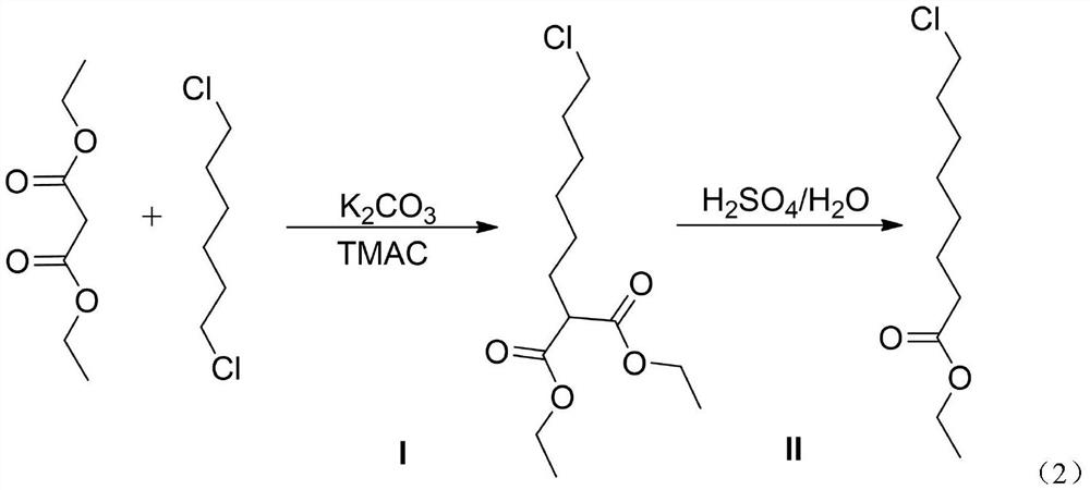 Synthesis method of 8-chloro ethyl caprylate