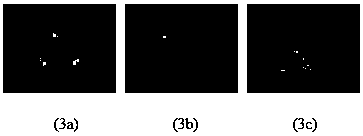 SAR Target Recognition Method Based on Cooperative Representation of Multi-scale Features