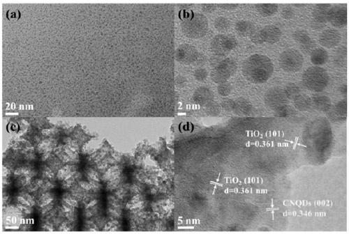 Preparation and application of CNQDs (Carbon nitride quantum dots)-modified TiO2 photonic crystal catalyst