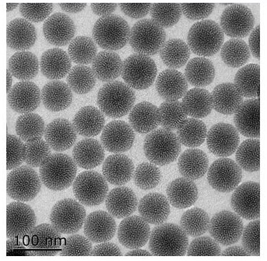 Nano-particle based on mesoporous silica loaded trifluorobenzene pyrimidine